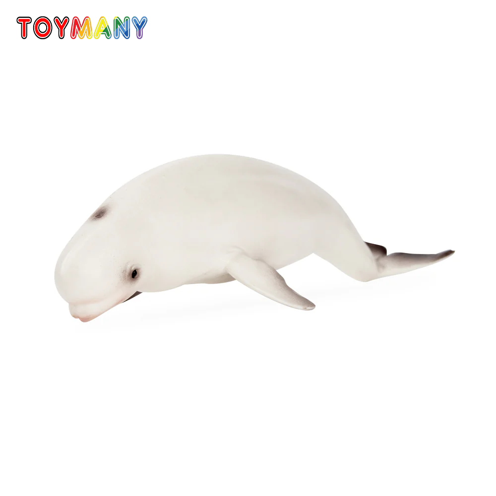 Marine Aquarium Decorations - Toymany Simulazione Beluga Balena Oceano Modello
