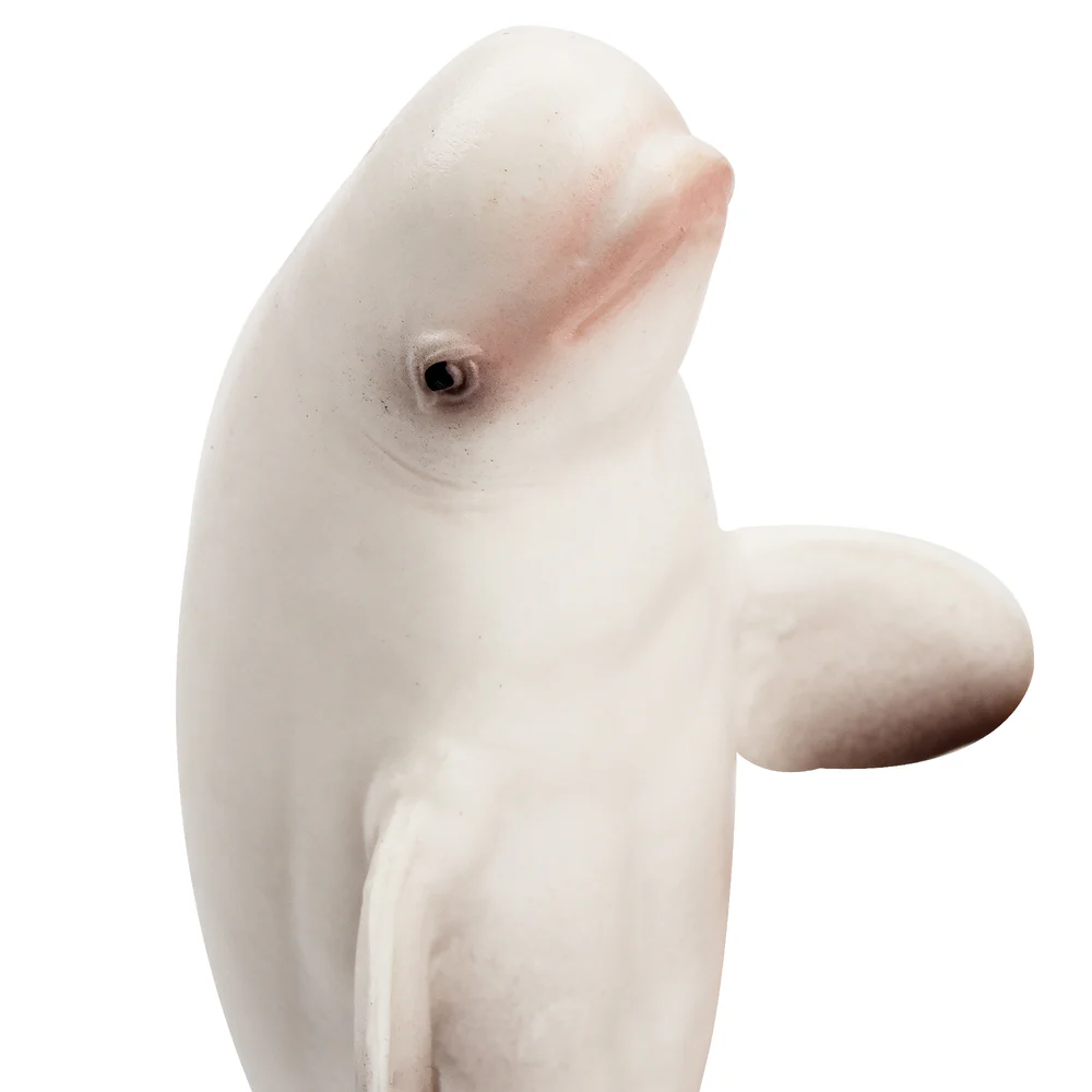 Toymany Simulazione Beluga Bal - Marine Aquarium Decorations recensione e prezzo