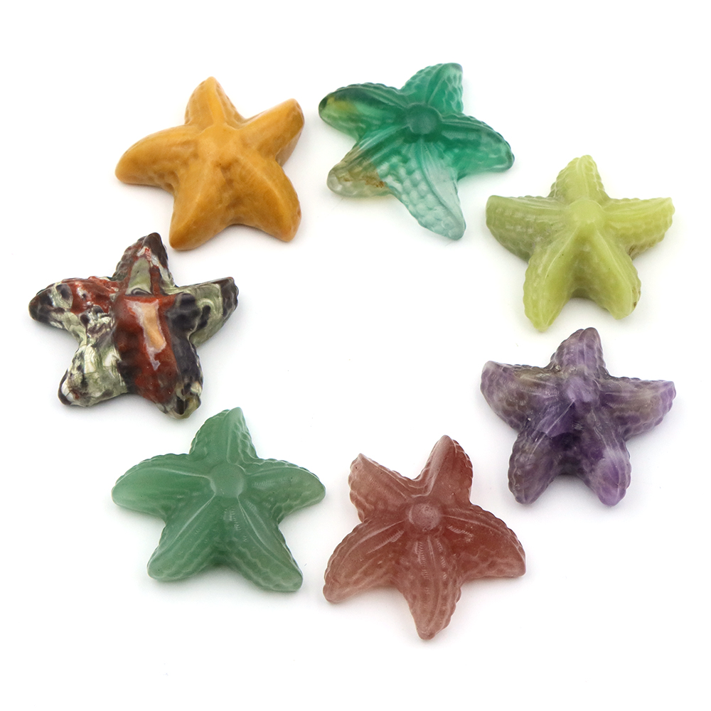 35mm Statua a forma di stella  - Marine Aquarium & Regional Centre Reviews recensione e prezzo